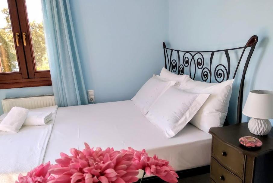 Pelion Seaside Luxury House Apartment อาฟิสโซส ภายนอก รูปภาพ