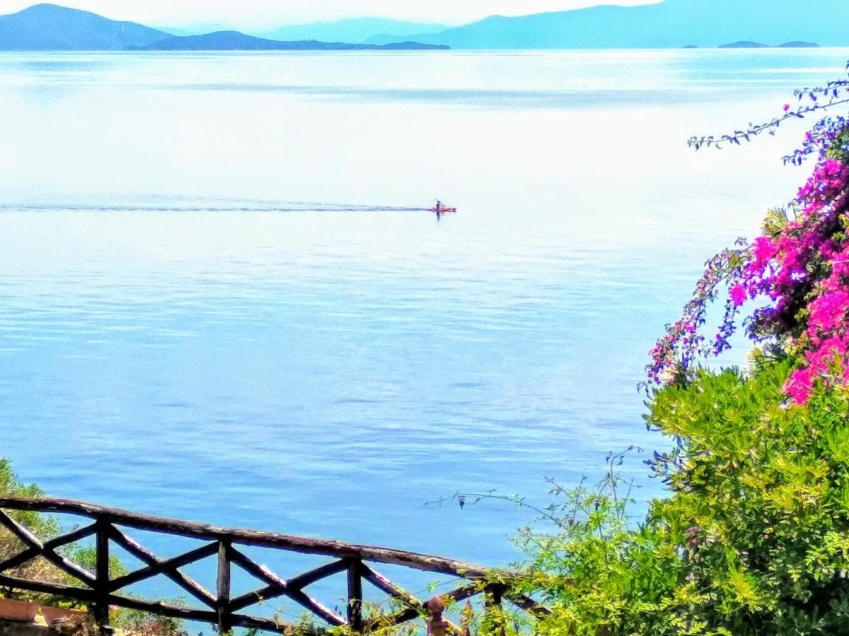 Pelion Seaside Luxury House Apartment อาฟิสโซส ภายนอก รูปภาพ